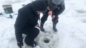 ТОЛСТЫЕ СУДАКИ НА РАТЛИНЫ. КАК ПОЙМАТЬ СУДАКА ЗИМОЙ.