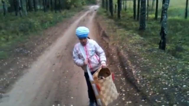 Грибы и доча смотреть онлайн