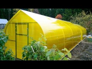 Теплица КАПЕЛЬКА и из профильной трубы