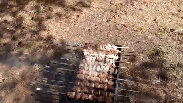 Мариную шашлык/Зонт с Галамарт!Отдых на Ермаковском озере/ Хакасия/ смотреть онлайн