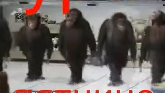 УРА ПЯТНИЦА!!!!!! смотреть онлайн