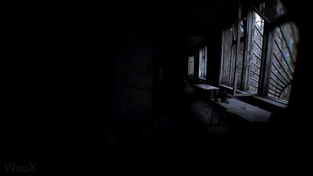 Bodycam New Exclusive Gameplay (TBA) смотреть онлайн