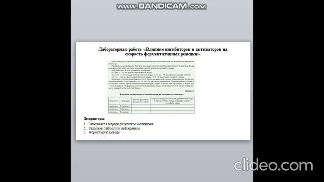 Биология 6 урок, 1 четверть смотреть онлайн