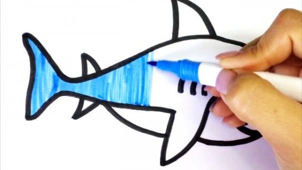 Сурет салу акула | Песенка Бейби шарк ту ту ру ру ру | Как нарисовать акулу весело Акуленок