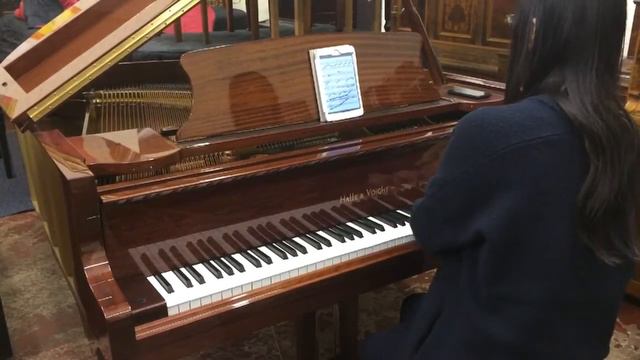 Halle & Voight new grand piano in mahogany - Newlands Pianos Edinburgh - Pianist, Askua - For Sale. смотреть онлайн