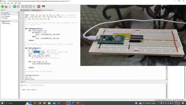 Project 3. Binary-counting LEDs - Raspberry Pi Pico W смотреть онлайн