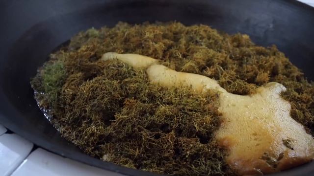 长在树上的“胡子”：树毛菜【滇西小哥】 смотреть онлайн