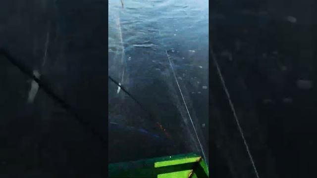 Рыбалка пауком Ловля корюшки смотреть онлайн