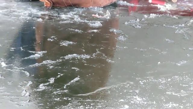 нашёл короткое архивное видео, рыбалка - волна (Рица) в Запорожье, январь 2014. смотреть онлайн