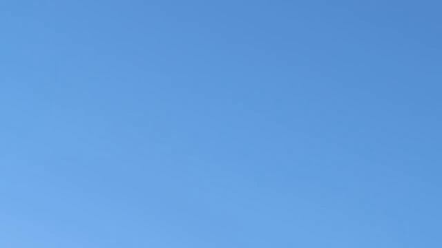 Лётные голуби 4 смотреть онлайн