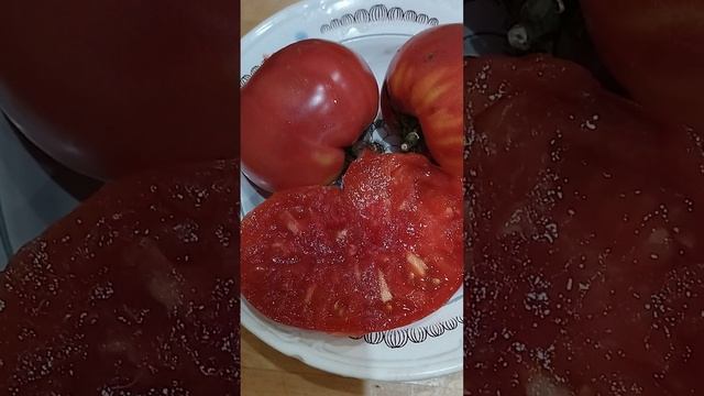 Томат Болгарское чудо в разрезе и на вкус смотреть онлайн