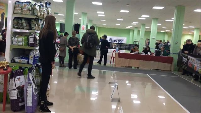 АКИТА - БЭБИ - ИНАРИ КАМИРАНИ КОУКИ ВЫСТАВКА СОБАК БЕЛГОРОД 4 ДЕКАБРЯ 2016 смотреть онлайн