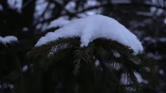 зима... смотреть онлайн