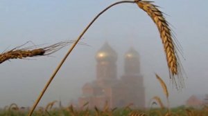ансамбль Родники. «Россия жива»