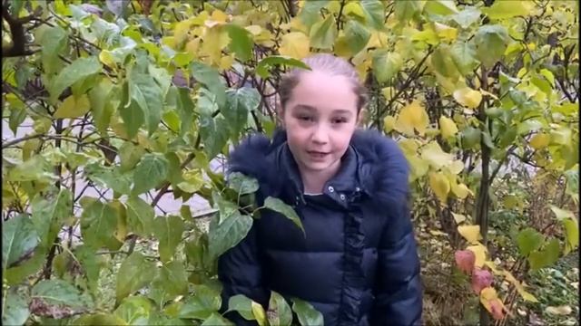 Сергей Есенин Разбуди меня завтра рано смотреть онлайн