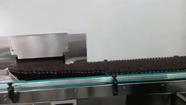 Линия розлива и укупорки лекарственных средств во флаконы смотреть онлайн