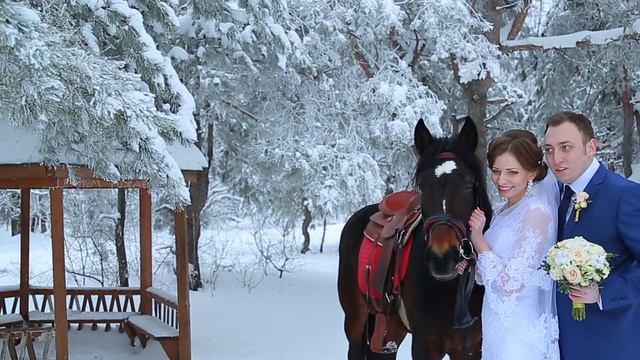 Сергей и Олеся // Свадьба в день влюбленных 14.02.2015 смотреть онлайн