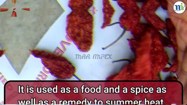 naga morich | king chilli | raja mircha | hot chilli pepper | bhut jolokia india | ghost pepper смотреть онлайн