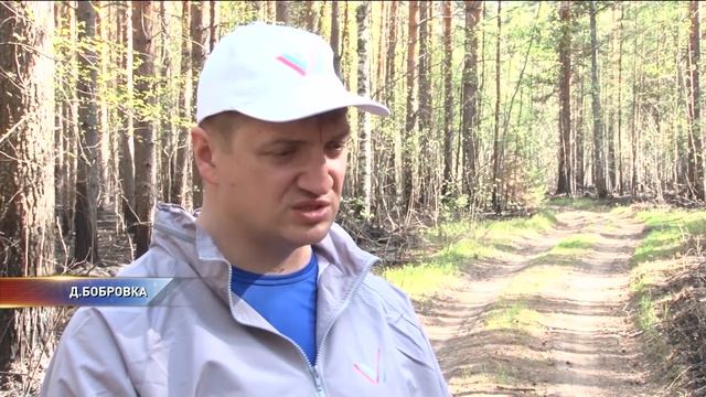 В Тарском районе специально поджигают лес, чтобы потом спилить его смотреть онлайн