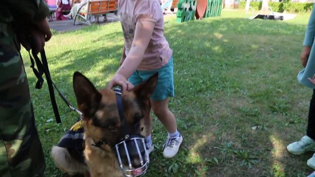 ГАИ 85 лет смотреть онлайн