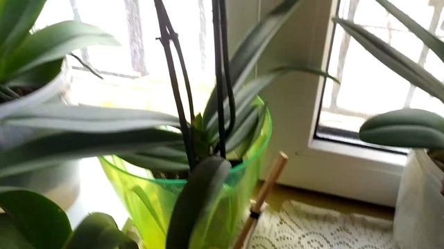 реанимашки 3 недели и вот результат.reanimals 3 weeks and here is the result. смотреть онлайн