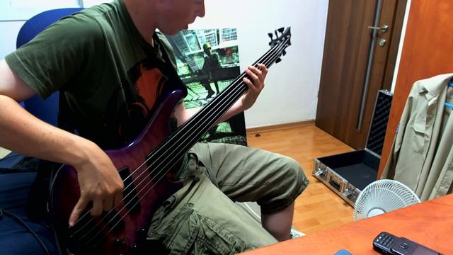 Cynic - Sentiment (Bass Cover) смотреть онлайн
