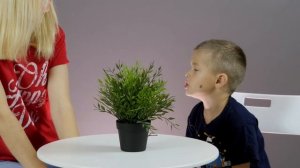 История Про Самсона - Библейские Истории Для Детей