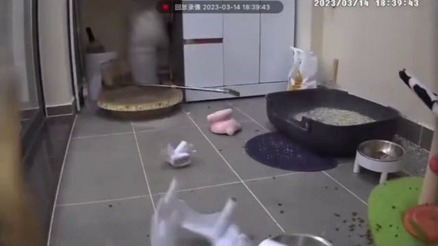 наве́л суету смотреть онлайн