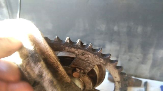 Обзор мопеда Альфа 50 кубов. смотреть онлайн