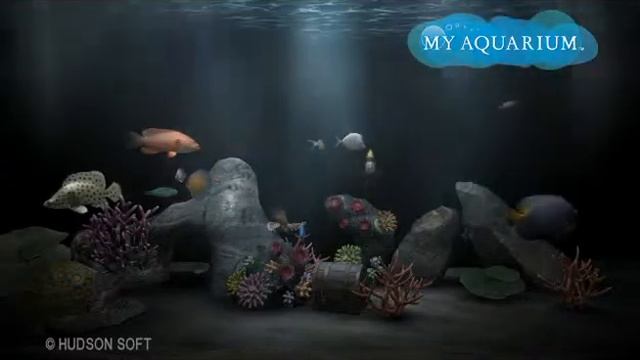 My Aquarium смотреть онлайн