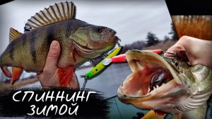 С таким ОКУНЕМ и ЩУКА не НУЖНА!!! Рыбалка на спиннинг ЗИМОЙ на ВОБЛЕРЫ!