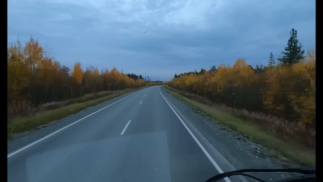 Волчий билет от Итеко #iteco смотреть онлайн