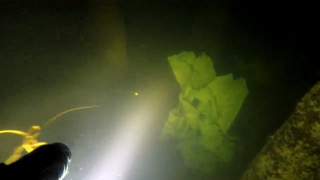 Подводная охота на голавля смотреть онлайн