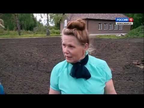 Высадка томатов в открытый грунт. Шубина Людмила Николаевна. Сад Шубиной. смотреть онлайн