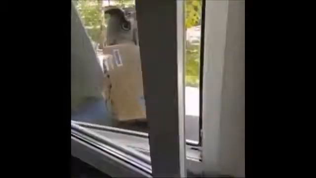 Она реальна смотреть онлайн