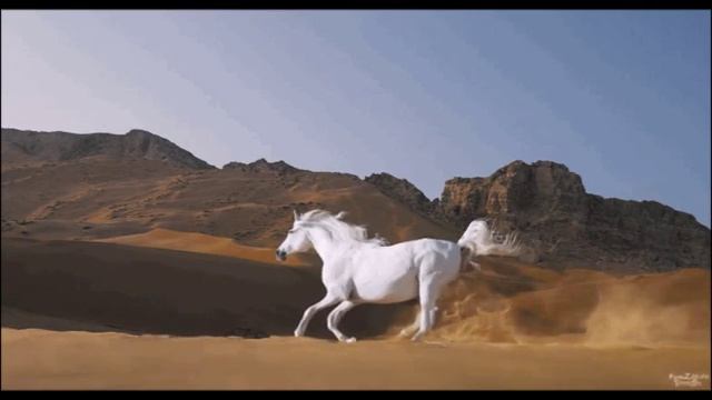 Природа и животный мир это вечная красота и гармония смотреть онлайн