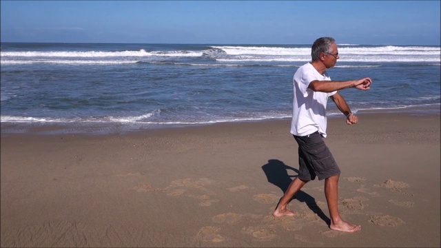 Euronat - Taï Chi Chuan avec la présentation смотреть онлайн