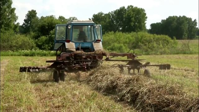 Cosecha de heno y senage en la región de Kemerovo. Заготовка сена и сенажа в Кемеровской области смотреть онлайн