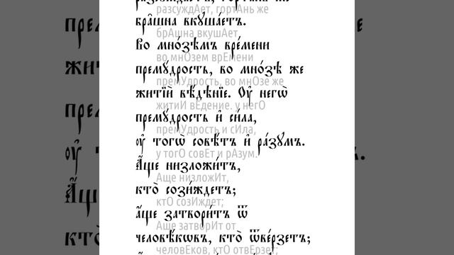 Книга Иова. Глава 12 смотреть онлайн