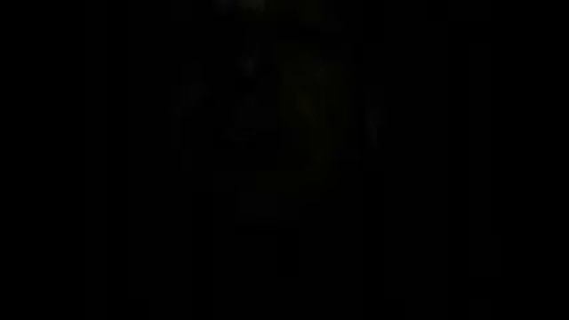 С трензелем во рту