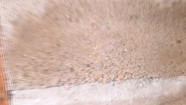 ЧЕРНОВАЯ СТЯЖКА ПОЛА ИЗ ОПИЛКОБЕТОНА!!! Спустя три года. смотреть онлайн