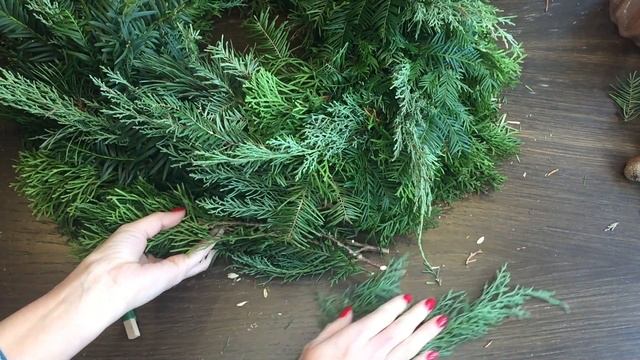 Живой венок на Новый Год #adventwreath #diy смотреть онлайн