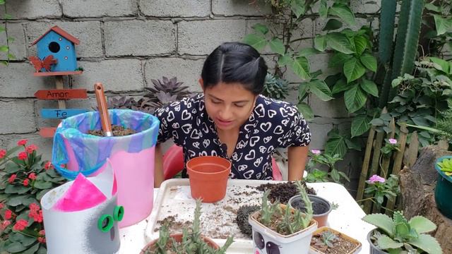 Acompáñenme a TRASPLANTAR suculentas, mientras conversamos 🤫 cuanto me paga YouTube. 💸