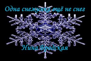 Одна снежинка ещё не снег - Нина Бродская