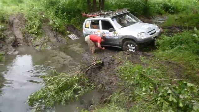 Сов в гнезде смотреть онлайн