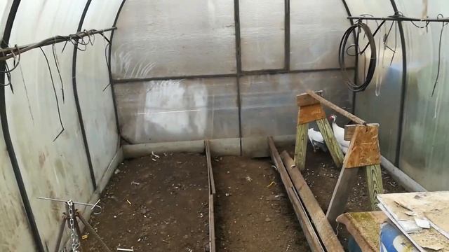 Прощай Цесарки!!! Стоит ли заводить, содержать и разводить цесарок , все плюсы и минусы. смотреть онлайн