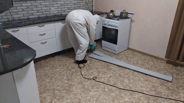 Обработка кухни от тараканов смотреть онлайн