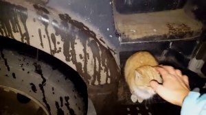 #1 Юлия Лазарева. Дальнобойщица. 2 января 2016.