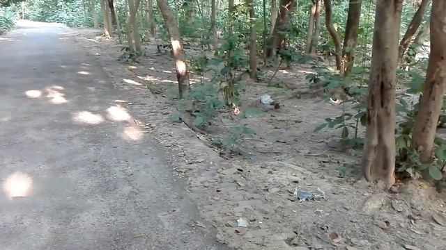 The real python смотреть онлайн