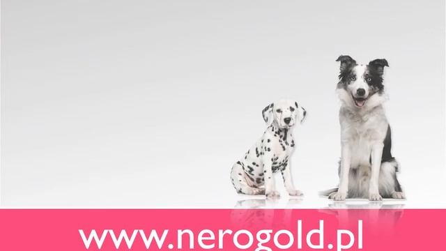 Nero Gold смотреть онлайн